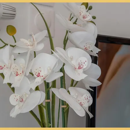 Chez Catarina I T2 I Appartement